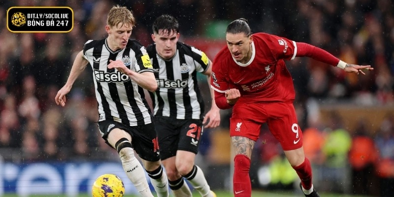 Nhận Định Newcastle United Vs Liverpool - 23/08 3 Phong độ thi đấu giữa hai đội Newcastle United vs Liverpool